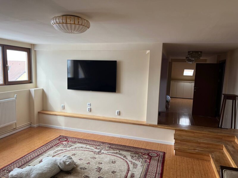 Moara Vlasiei, Particular, unica in zona, vila cu 9 camere, 7 bai, 2 garaje