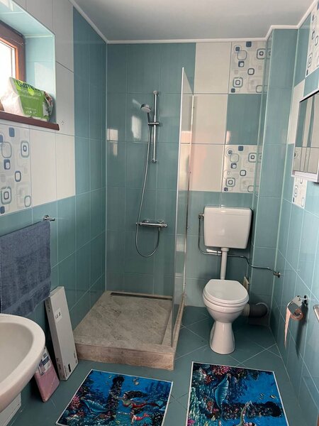 Moara Vlasiei, Particular, unica in zona, vila cu 9 camere, 7 bai, 2 garaje