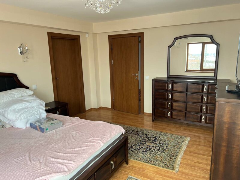 Moara Vlasiei, Particular, unica in zona, vila cu 9 camere, 7 bai, 2 garaje