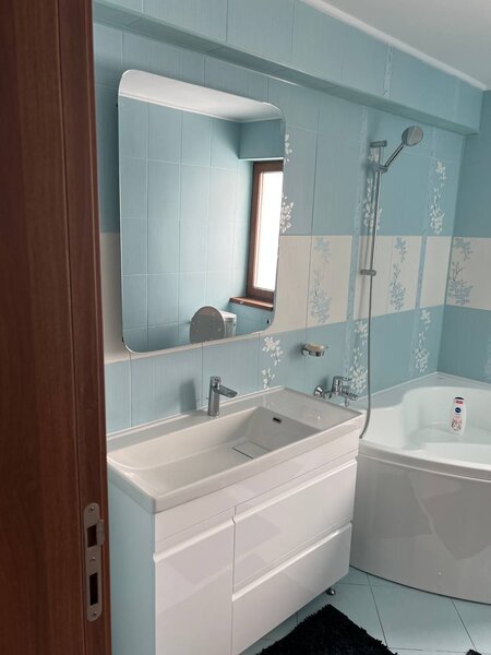 Moara Vlasiei, Particular, unica in zona, vila cu 9 camere, 7 bai, 2 garaje