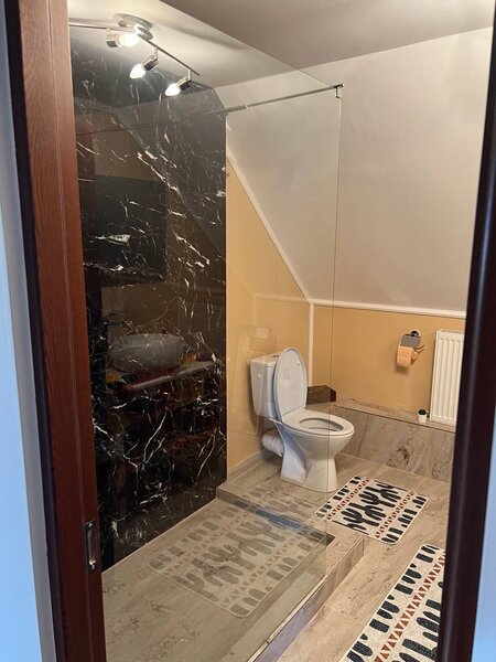 Moara Vlasiei, Particular, unica in zona, vila cu 9 camere, 7 bai, 2 garaje