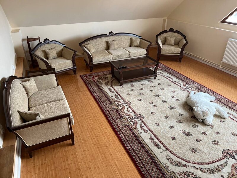 Moara Vlasiei, Particular, unica in zona, vila cu 9 camere, 7 bai, 2 garaje